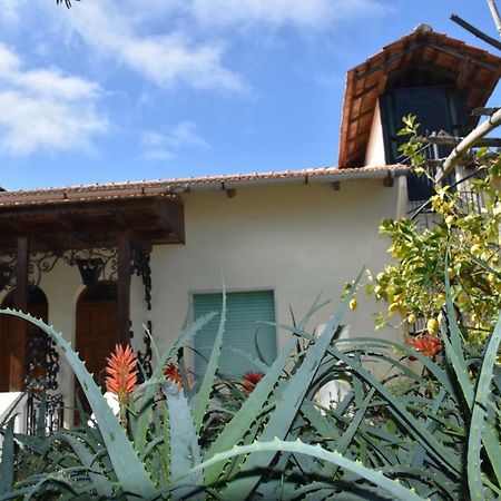 Casa Dei Limoni Daire Massa Lubrense Dış mekan fotoğraf