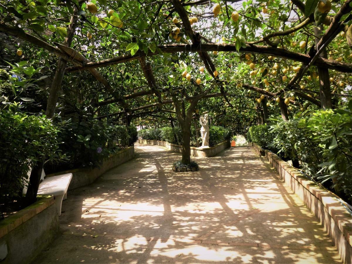 Casa Dei Limoni Daire Massa Lubrense Dış mekan fotoğraf