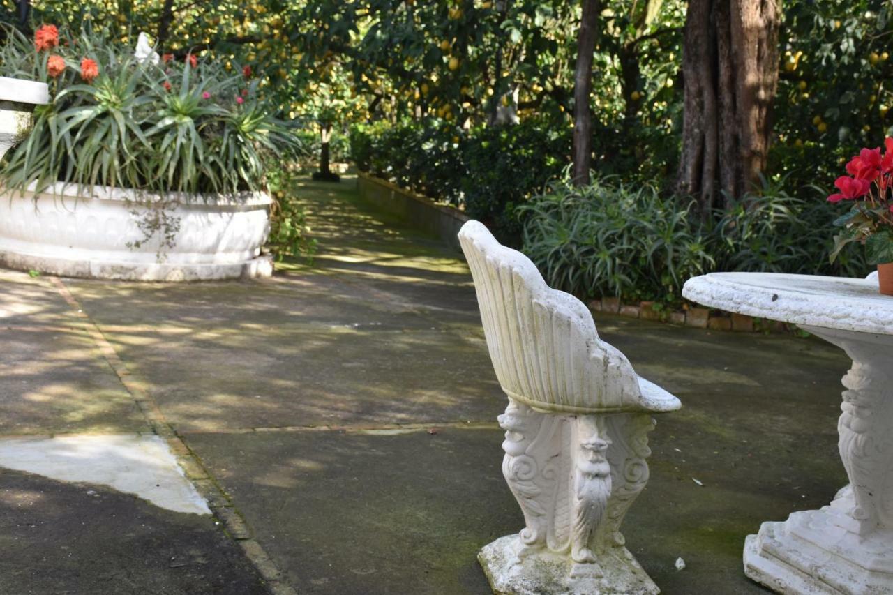 Casa Dei Limoni Daire Massa Lubrense Dış mekan fotoğraf