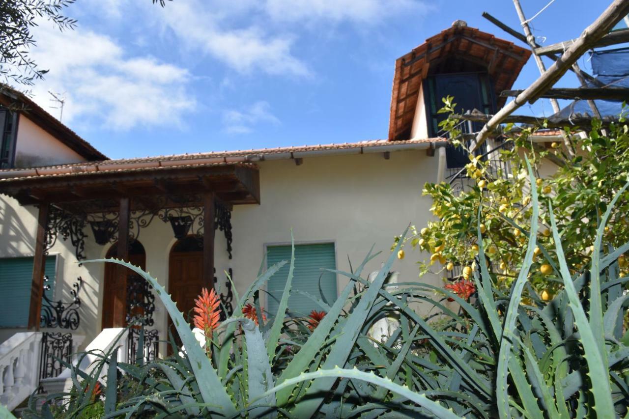 Casa Dei Limoni Daire Massa Lubrense Dış mekan fotoğraf