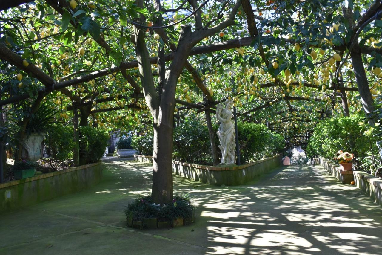 Casa Dei Limoni Daire Massa Lubrense Dış mekan fotoğraf