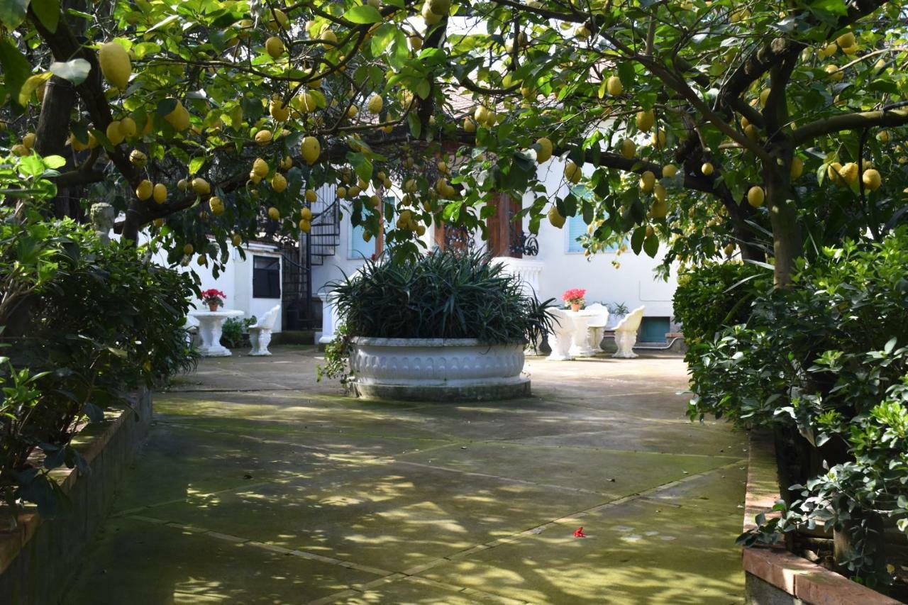 Casa Dei Limoni Daire Massa Lubrense Dış mekan fotoğraf